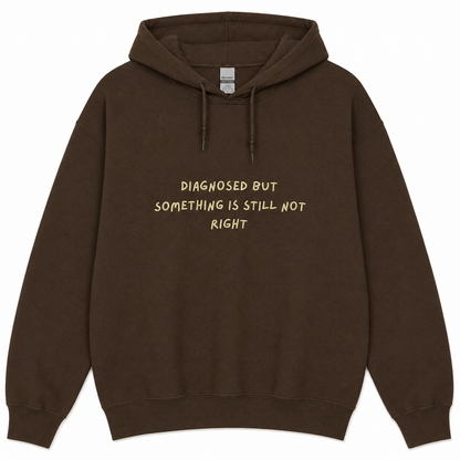 Hoodie Diagnosed but something is still not right