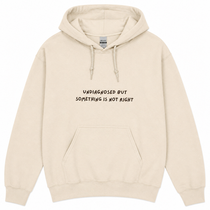 Hoodie Undiagnosed but something is not right